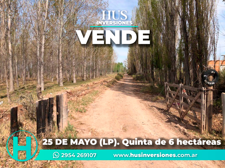 25 de Mayo (La Pampa). Quinta de 6 hectáreas 