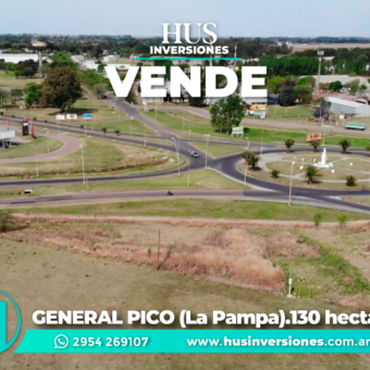GENERAL PICO (LP). 130 hectáreas