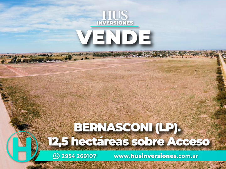 BERNASCONI (La Pampa). 12,5 hectáreas sobre Acceso