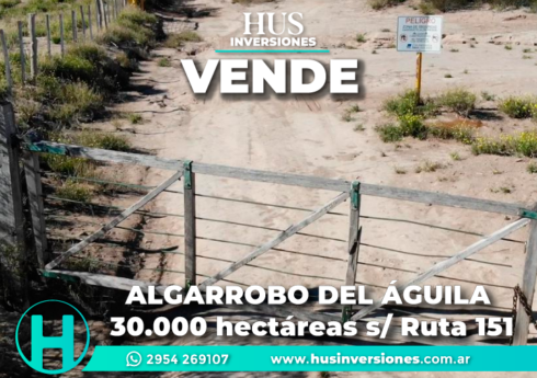 ALGARROBO DEL ÁGUILA.  30.000 hectáreas s/ Ruta 151