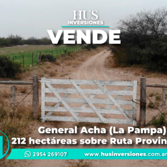 General Acha (La Pampa). 212 hectáreas sobre Ruta Provincial 9