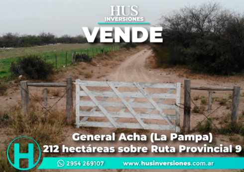 General Acha (La Pampa). 212 hectáreas sobre Ruta Provincial 9