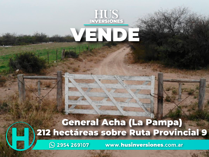 General Acha (La Pampa). 212 hectáreas sobre Ruta Provincial 9