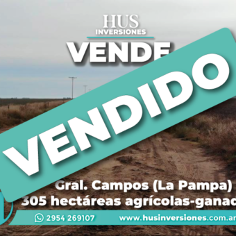 Gral. Campos (La Pampa). 305 hectáreas agrícolas-ganaderas