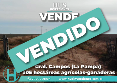 Gral. Campos (La Pampa). 305 hectáreas agrícolas-ganaderas